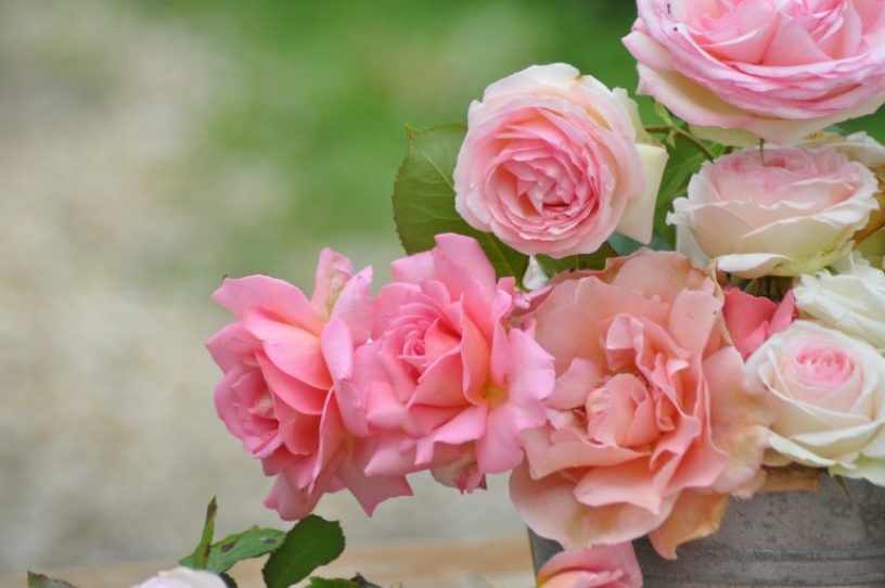 détail du bouquet de roses